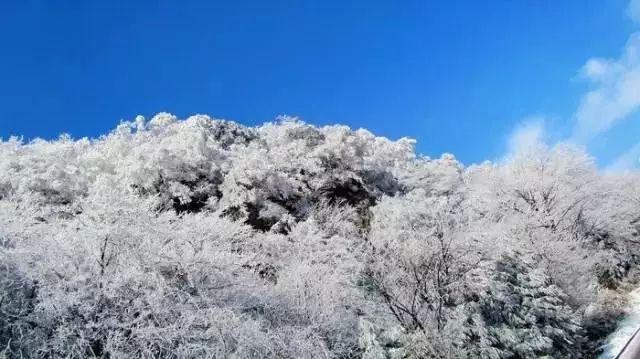 要多大面积的土地才能养活本市人口？游戏画面